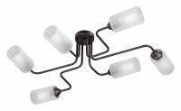 Потолочная люстра Vitaluce 4310 V4310-1/6PL