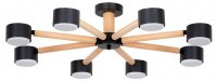 Потолочная люстра Arte Lamp TENDA A1624PL-8BK