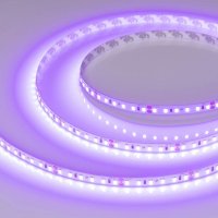 Лента светодиодная Arlight A120 24V 8mm 9.6 W/m 043384, 5 метров