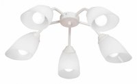 Потолочная люстра Vitaluce V31950 V31950/5PL