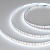 Светодиодная лента NT-A120-8mm 12V White6000 (9.6 W/m, IP20, 3528, 5m) (Arlight, Открытый), 5 метров