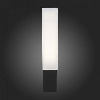 Накладной светильник ST-Luce Posto SL096.411.02