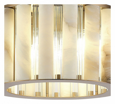 Накладной светильник ST-Luce Delight SL1516.302.06