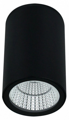 Накладной светильник Arte Lamp TORCULAR A1307PF-1BK