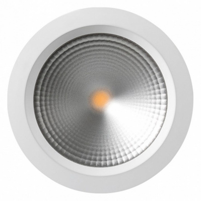 Светодиодный светильник LTD-220WH-FROST-30W Day White 110deg (Arlight, IP44 Металл, 3 года)