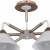 Люстра на штанге Arti Lampadari Ribera Ribera E 1.1.6 CW