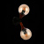 Бра EVOLUCE Raquel SLE109401-01 Бра EVOLUCE Raquel SLE109401-01