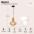 Подвесной светильник Maytoni Roots MOD193PL-01W Подвесной светильник Maytoni Roots MOD193PL-01W